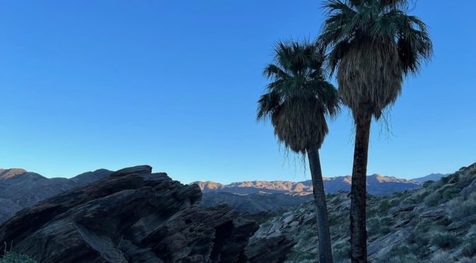 Vegan Getaway! Delicious Picnic & Relaxing Nature Hike in Palm Springs